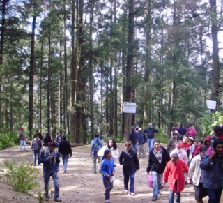  Passeggiate guidate 